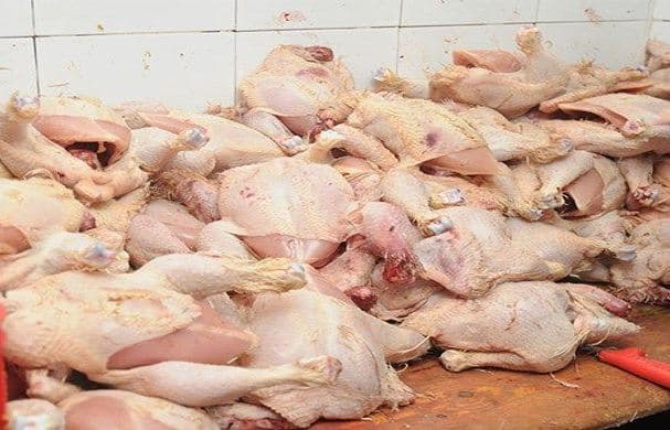 Al-Mahdia seizes 4.7 tons of expired chicken