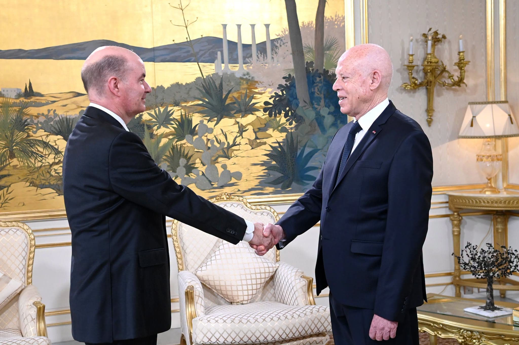 Swiss ambassador bids farewell to leader