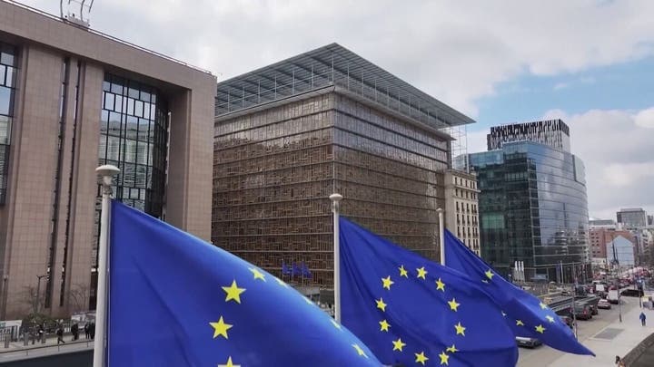 EU Urged to Cut Gas and Power Use