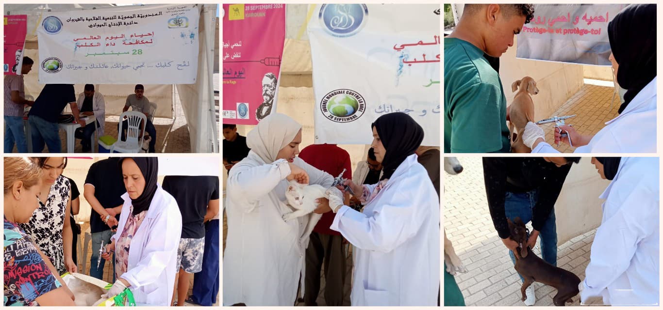 Kairouan Sets Up Three Vaccination Tents for Pets