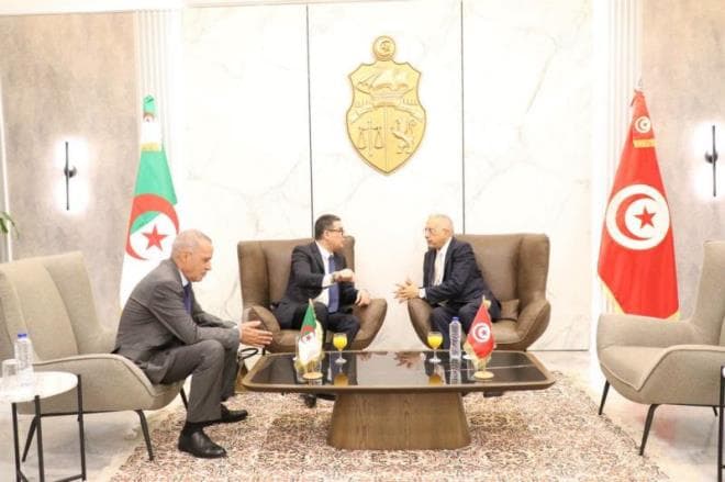 Algeria, Mauritania, Libya at TeleHealth 2026