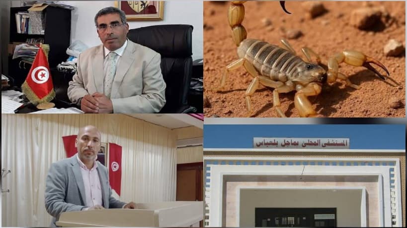 ماجل بلعباس تتكرر حوادث للدغات السامة