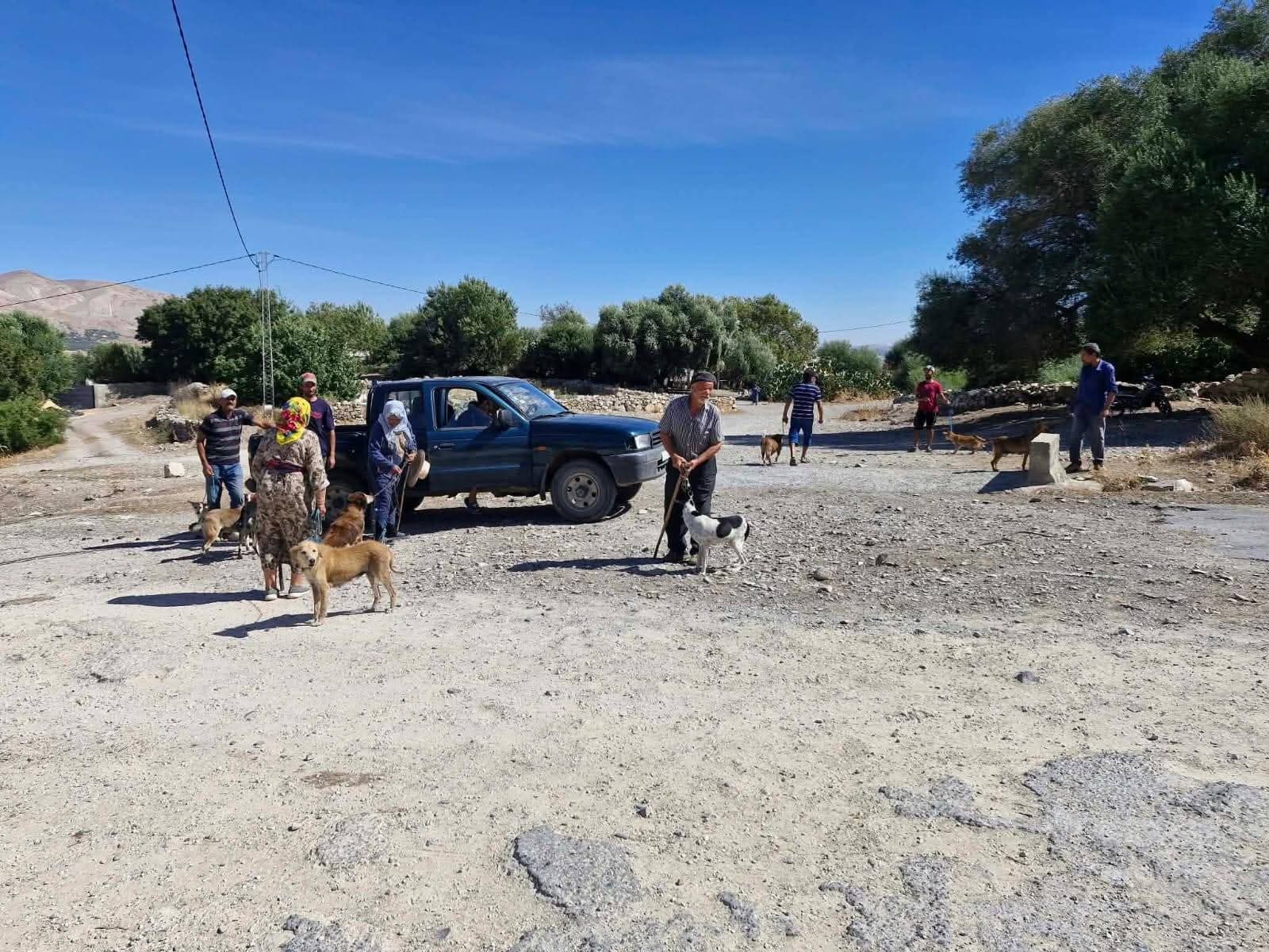 Balta Bouaouan Continues Rabies Vaccination Efforts