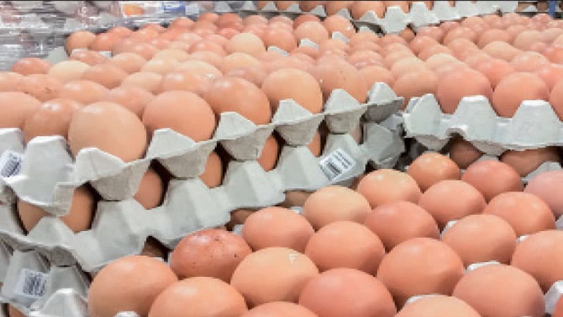 Suleiman seized 12,600 eggs illegally sold