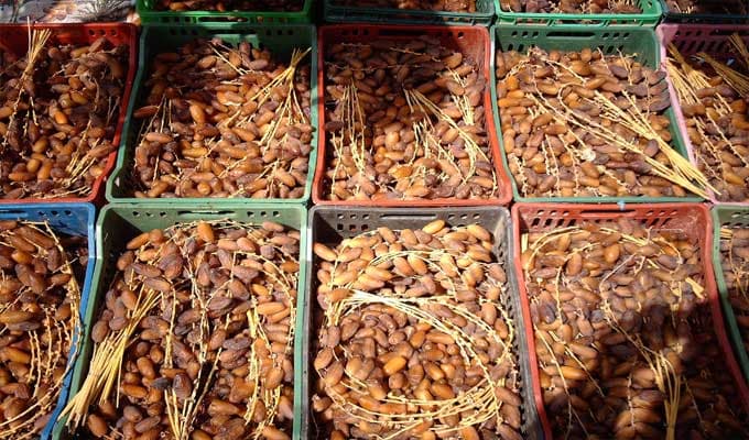 Strategic plan to promote dates internationally