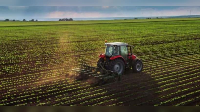 Parliament Deputy Calls for Agriculture Strategy