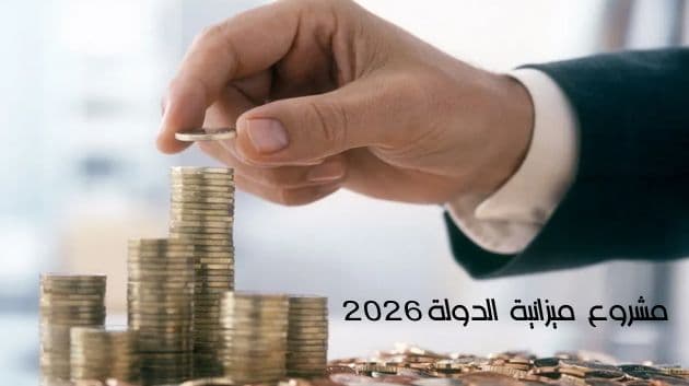 June 2026 Budget: Fuel Subsidies Surpass Investments