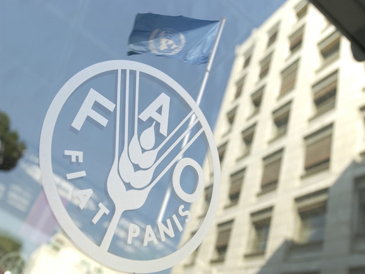 FAO: Over 45 million facing hunger