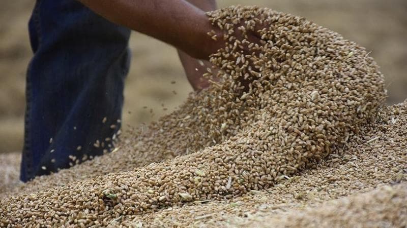 Hidden threat in food crops endangers health