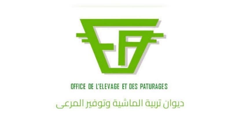 Livestock Department Considers Date Palm Waste Use