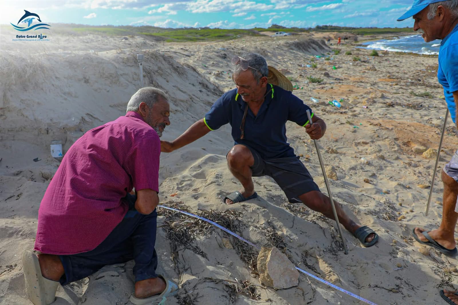 Al-Mahdiyya Association Reports Green Sea Turtles Nesting