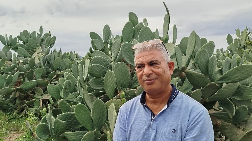 بوعرقوب: توقف المياه يضر بمحصول القوارص