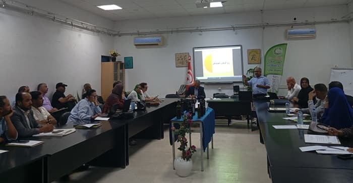 Sidi Bouzid's Organic Olive Oil Gains Global Market Attention