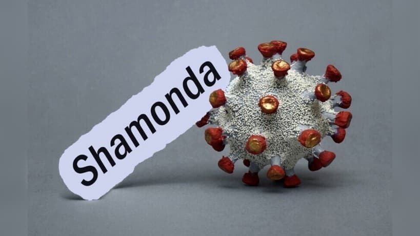 Shamonda virus: origins and human cases