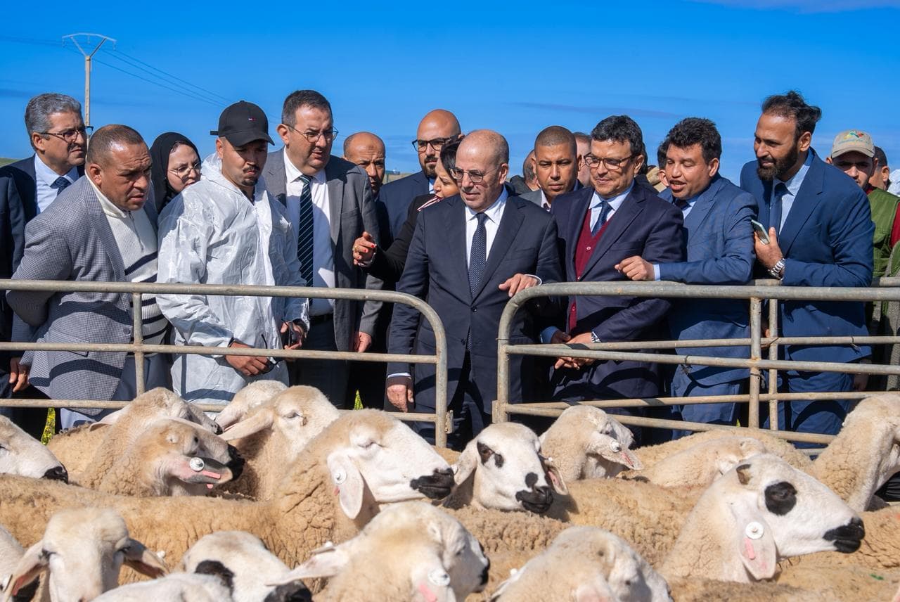 Morocco's Costly Eid Al-Adha Despite Intervention
