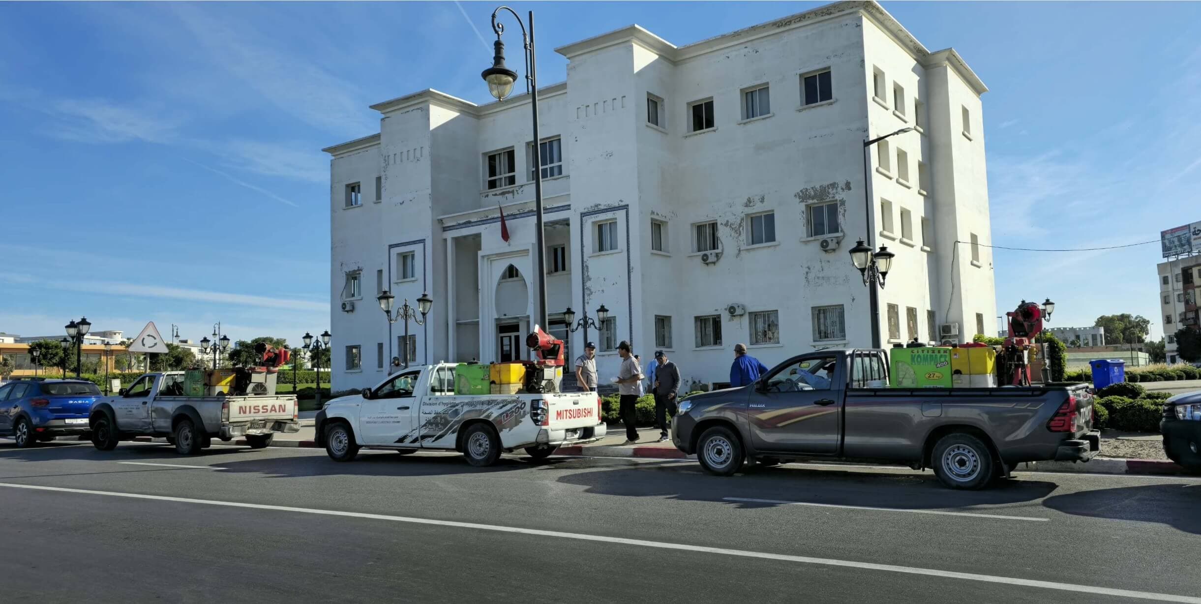 Mosquito Control Campaigns in Tangier
