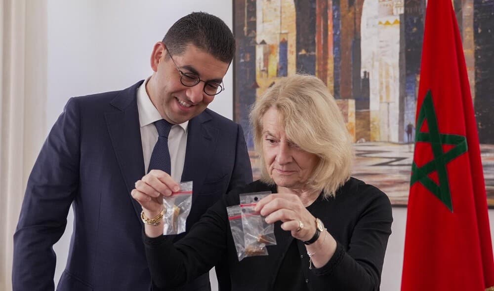 France returns to Morocco 9 fossil specimens dating up to 72 million years old