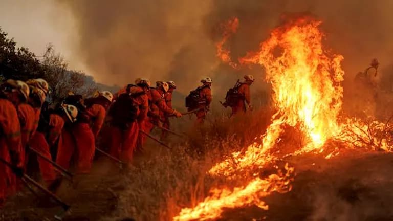 Greek firefighters die in forest fires