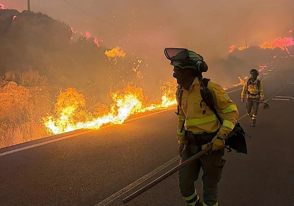 Forest fire in Almería, Spain, kills at least 11 people