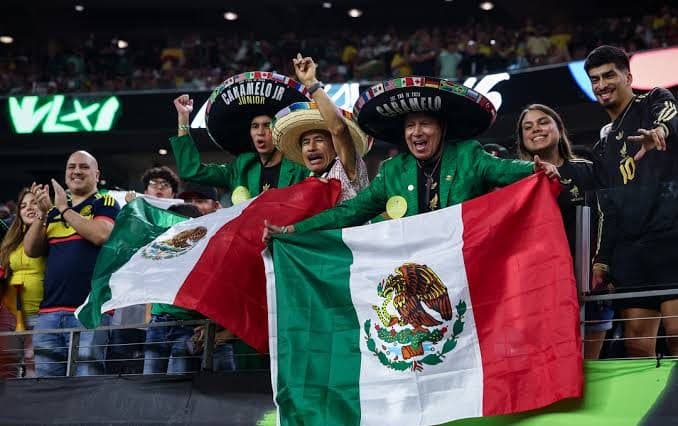 Mexico Football Federation Fined $2.3 Million Over Fan Data Violations