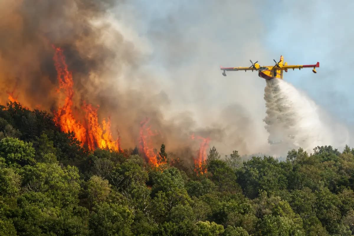 Morocco fires burn 4133 hectares