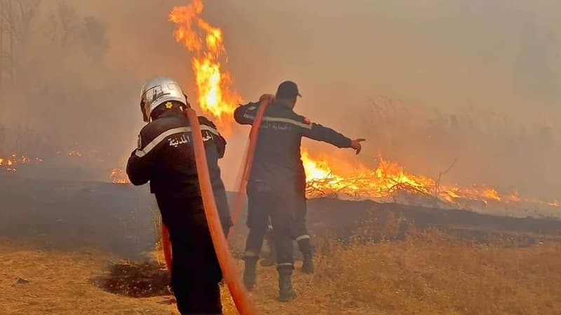 Algeria Fires Cause Six Deaths