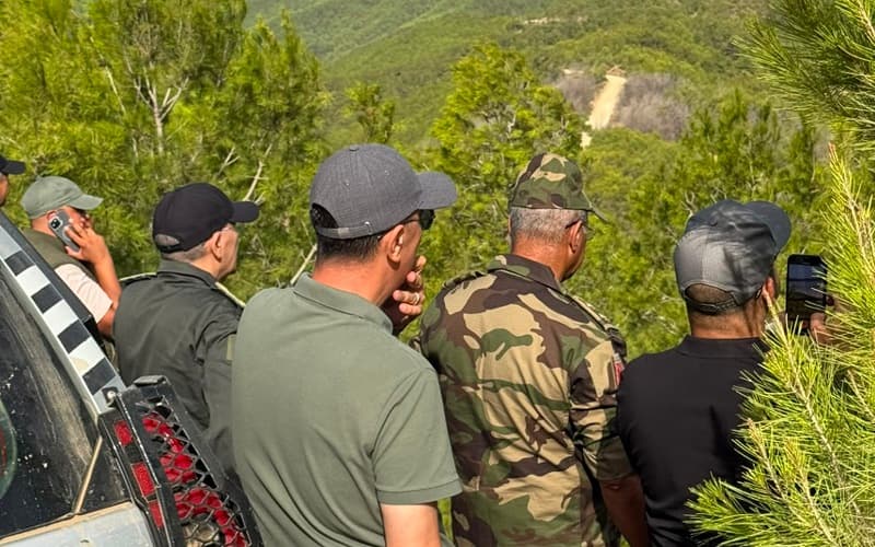 Tetouan forest fire under investigation