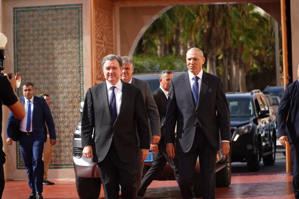 US funds first Sahara green ammonia project