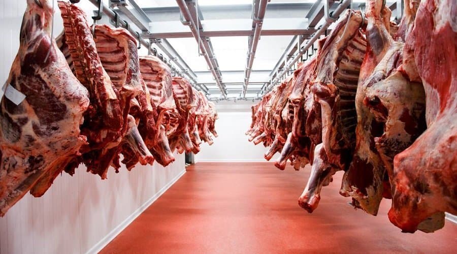 Highway patrol finds 1.2 tons of rotten meat for Tangier