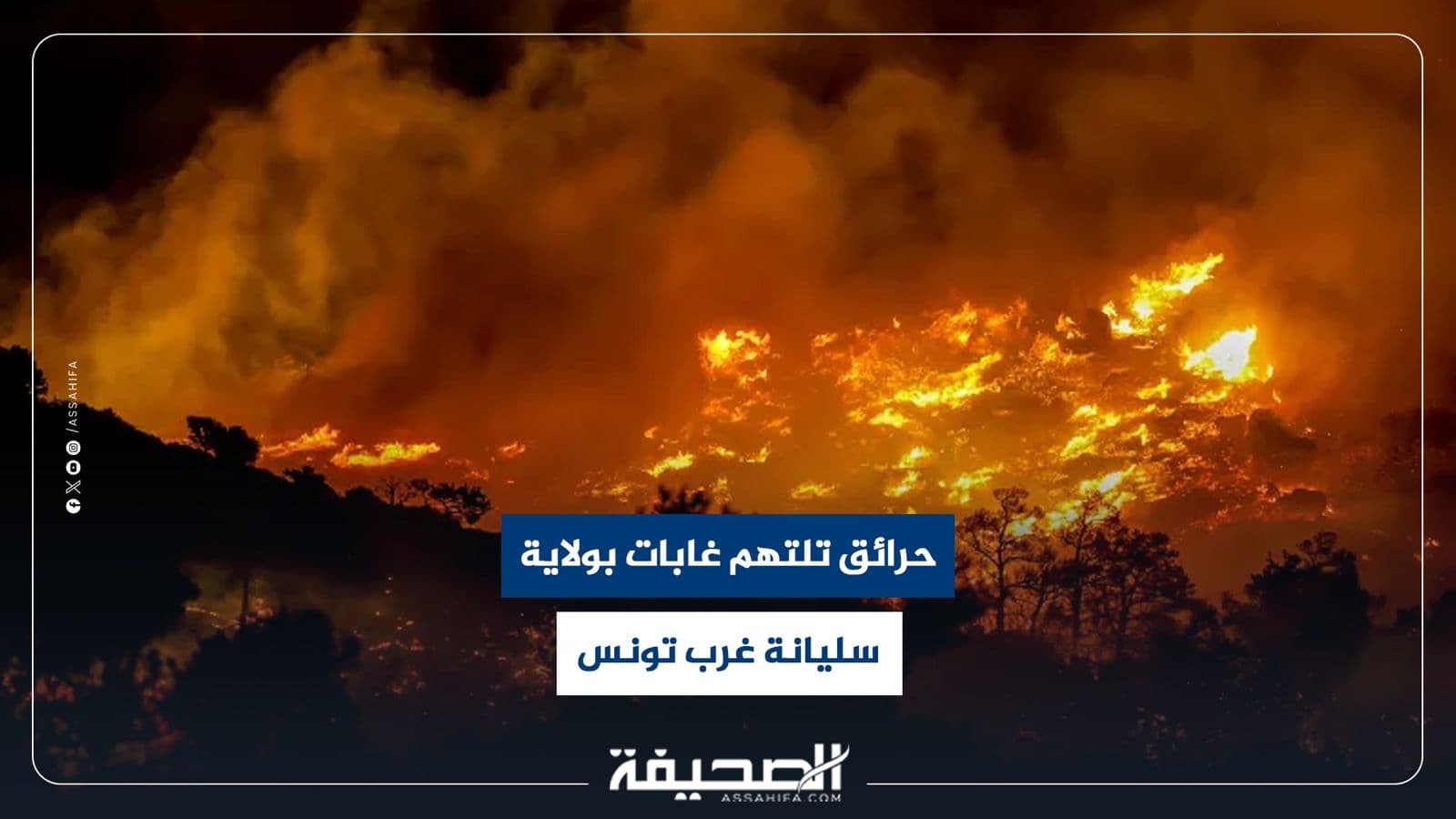 Forest fires in Siliana Tunisia
