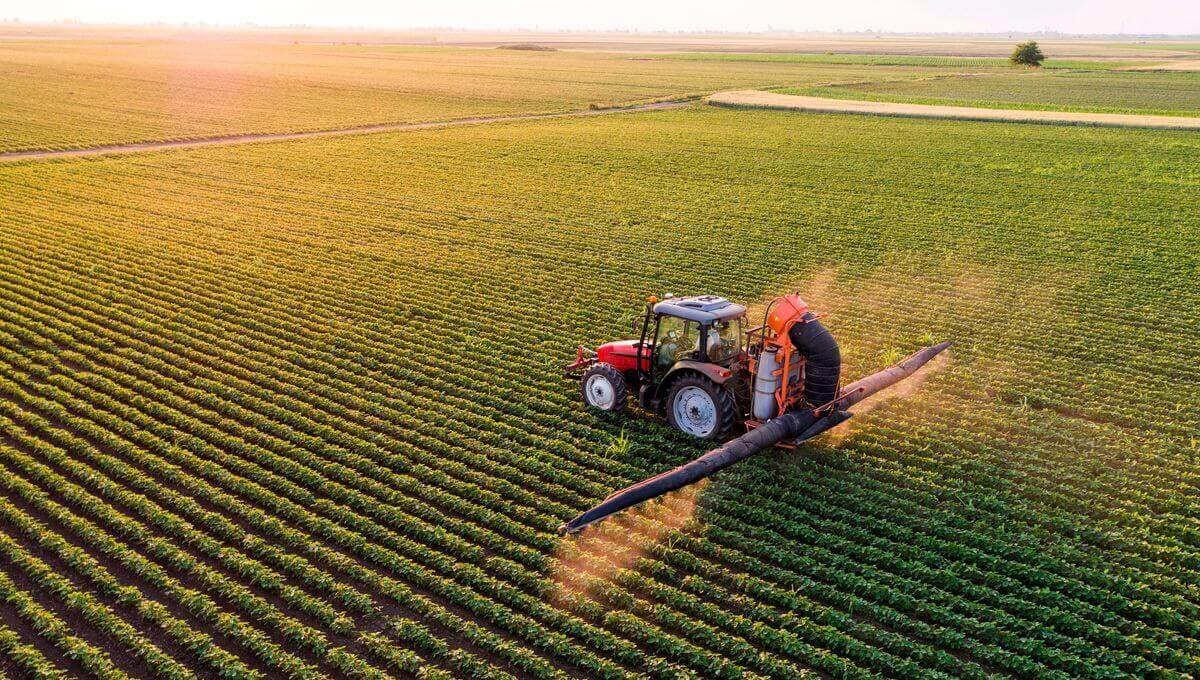 EU reports drought affecting crops