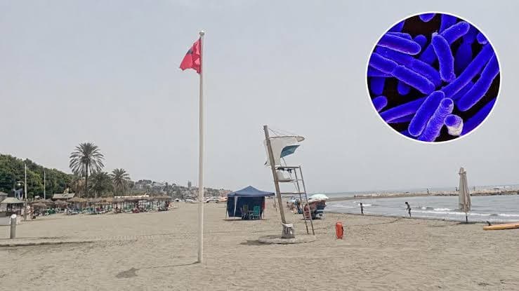 Malaga beaches close amid pollution