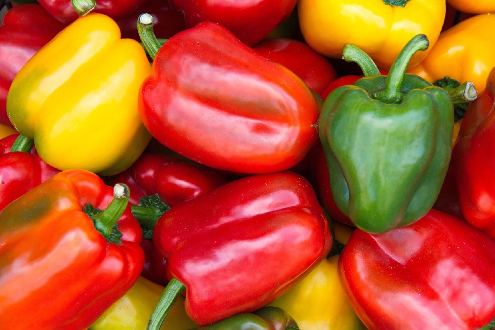 Spain's Moroccan pepper imports rise early 2026