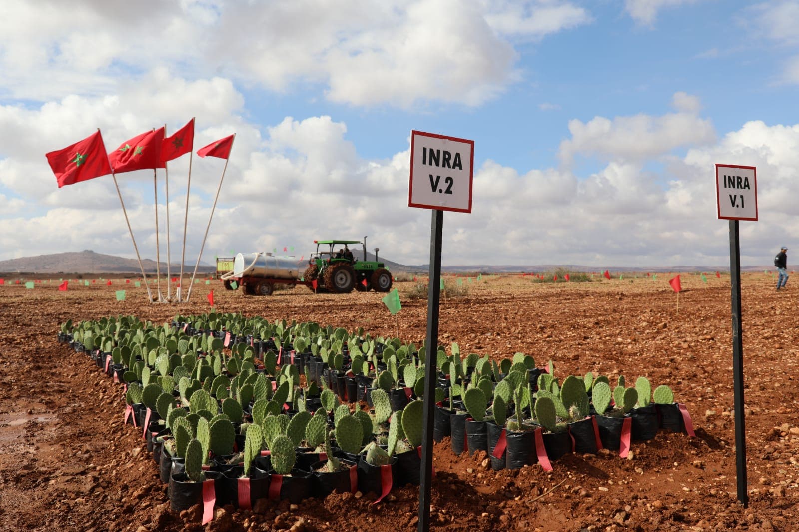 French and Algerian nationals involved in land transfers