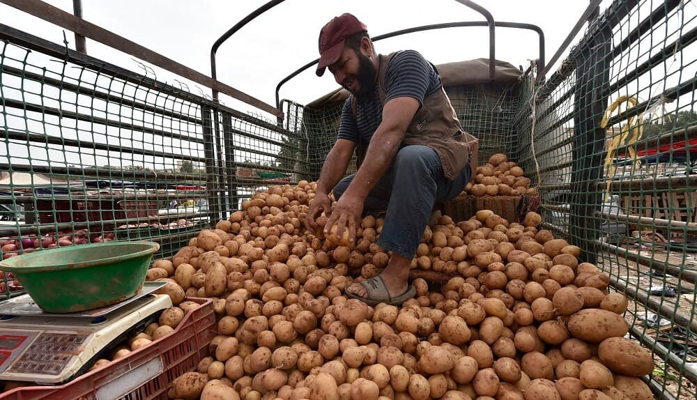 الجزائر تحدد سعر البطاطس لمواجهة التضخم