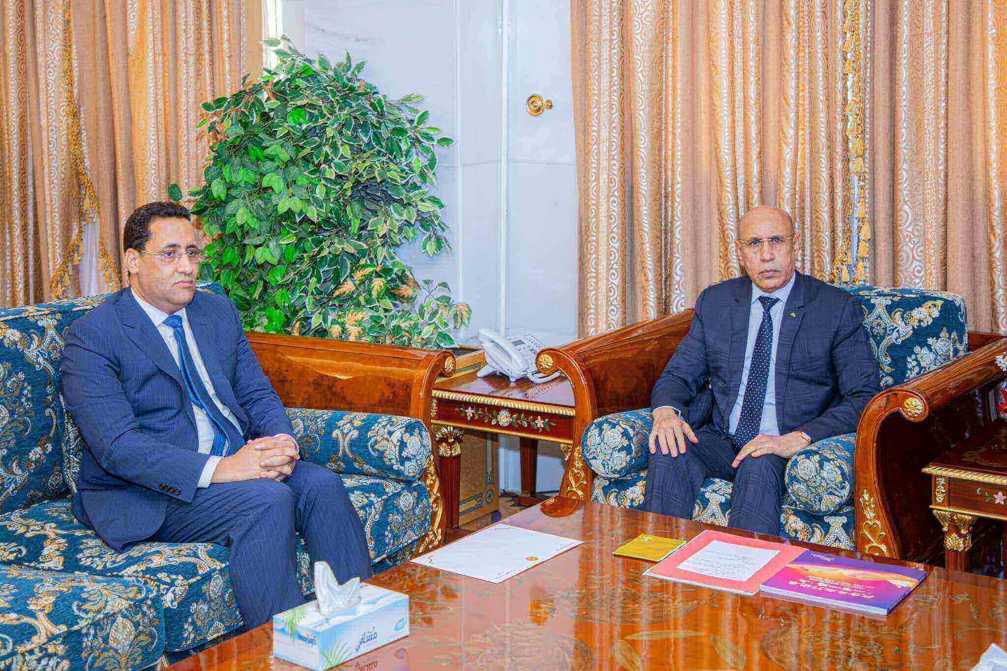 Mauritanian PM resigns over power company fires