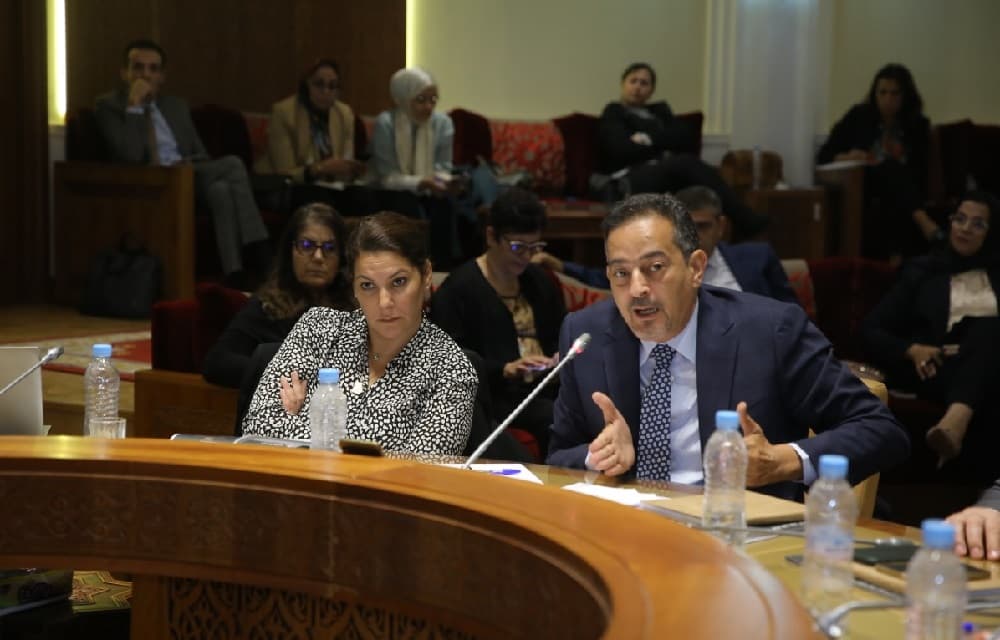 House accounts disown Mansouri gov