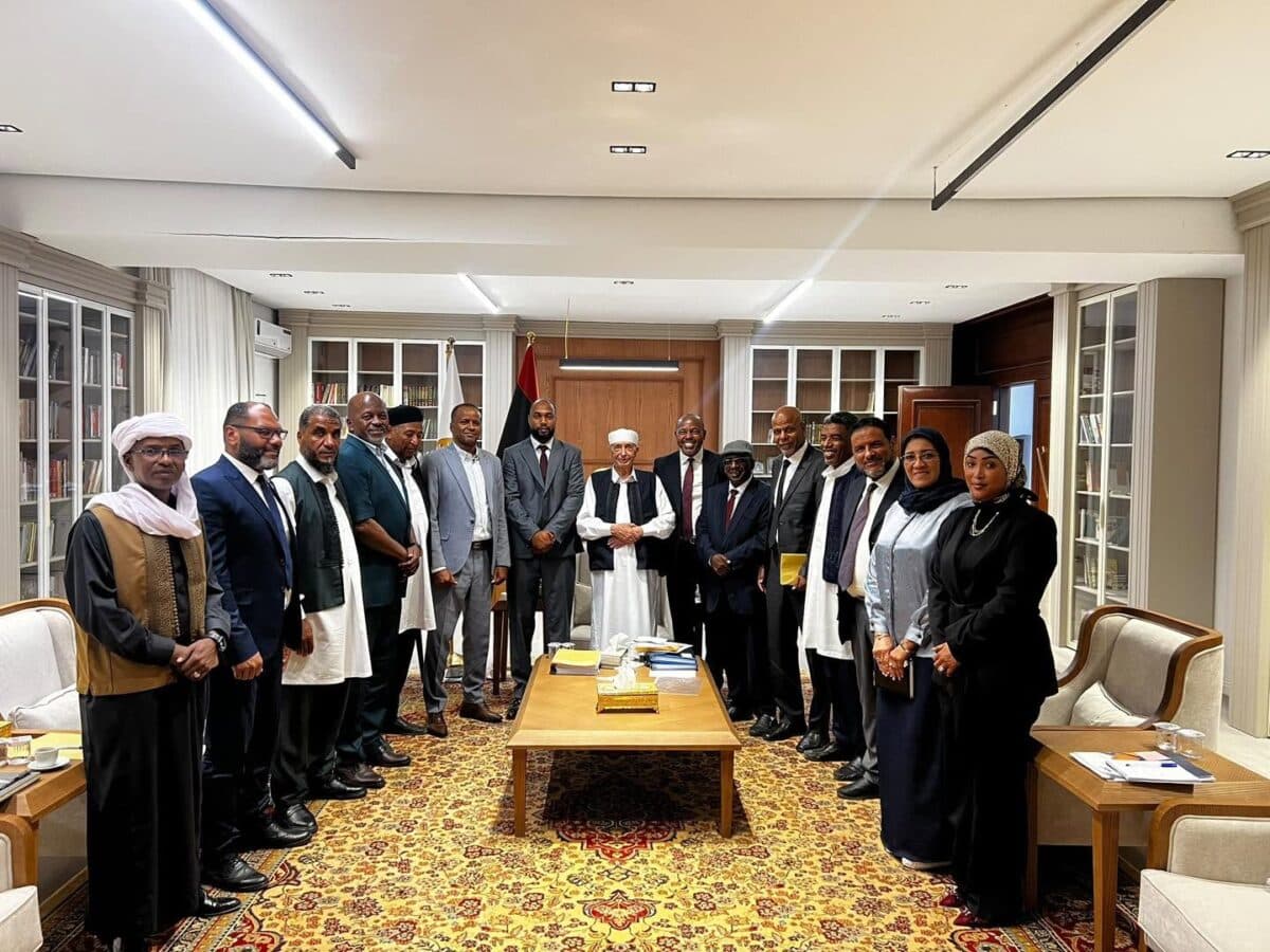 Aguila Saleh pushes elections to end Libya's transition