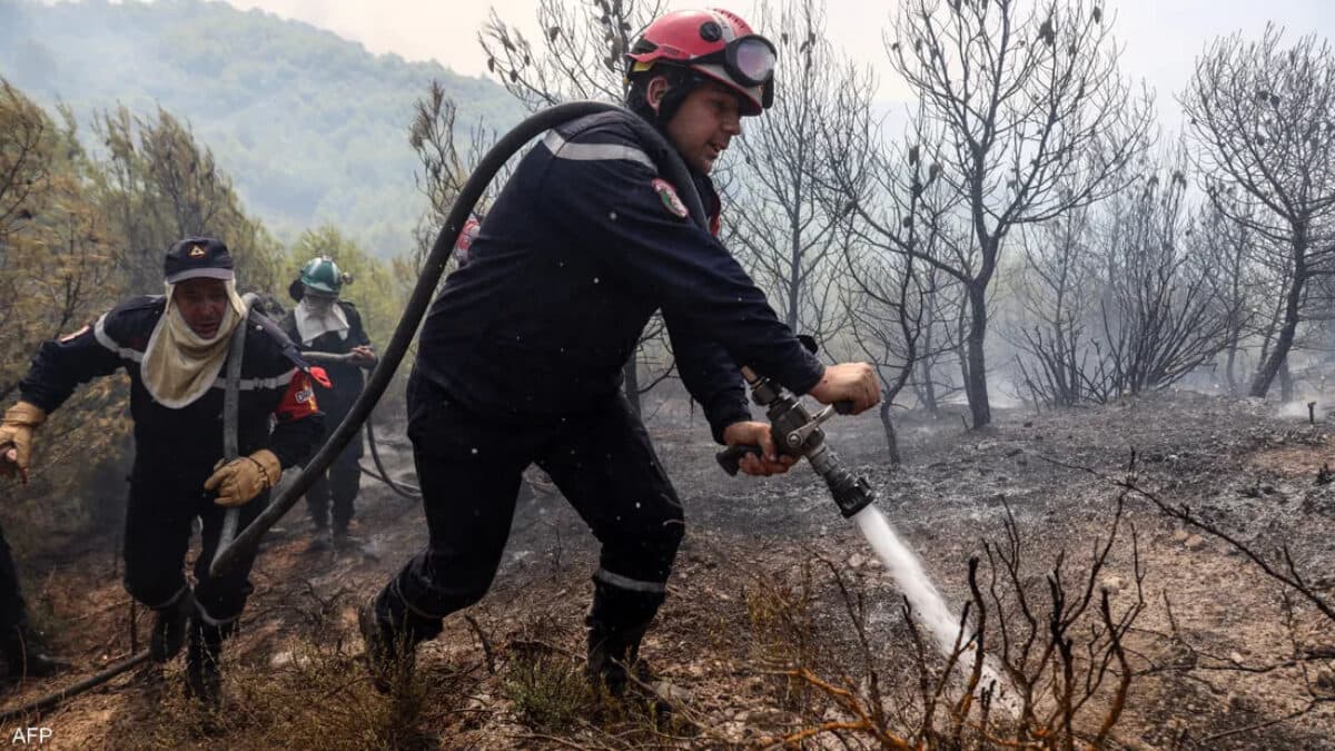 Algeria Fires Injure and Destroy Vast Areas