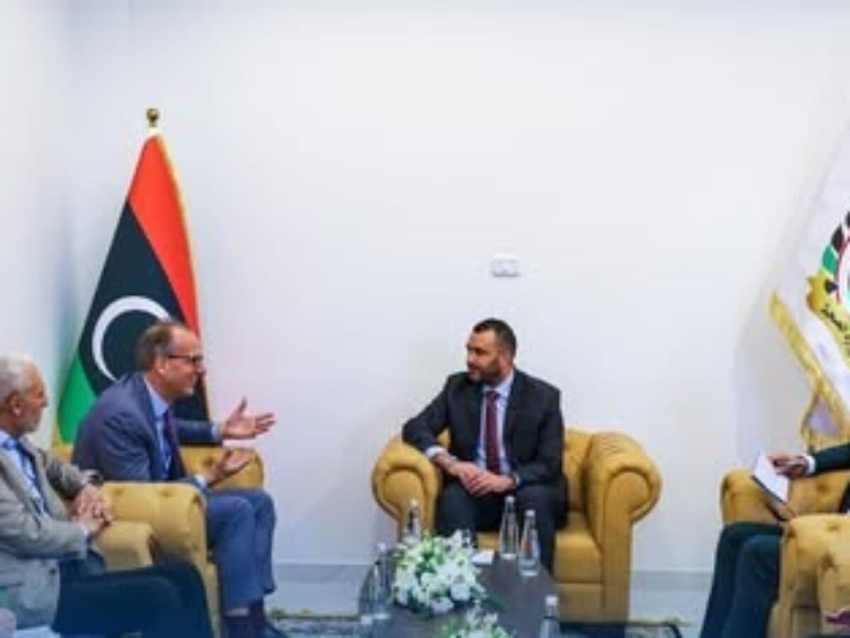 Libya and UK explore health partnership