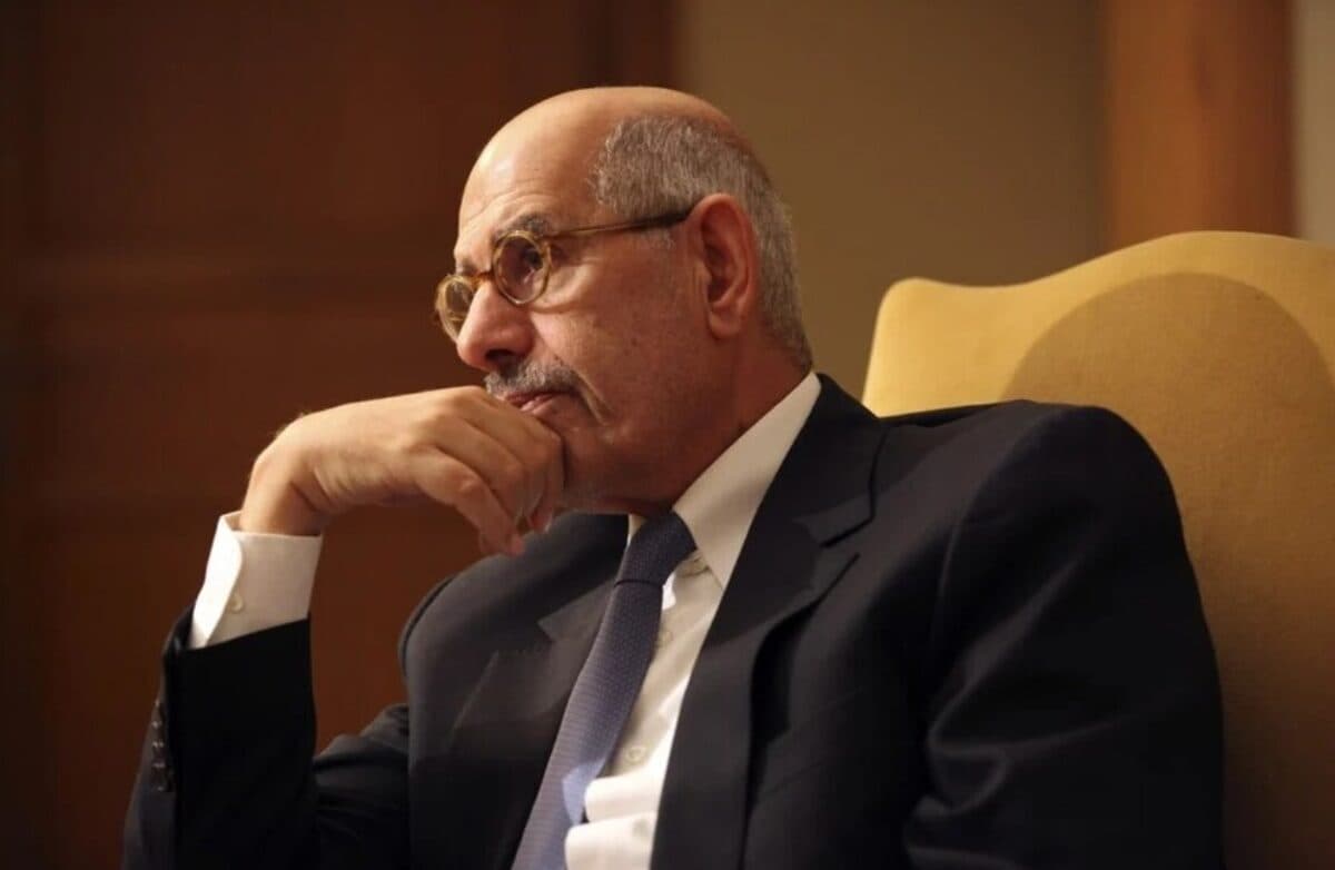 ElBaradei Rejects US Court Dismantling