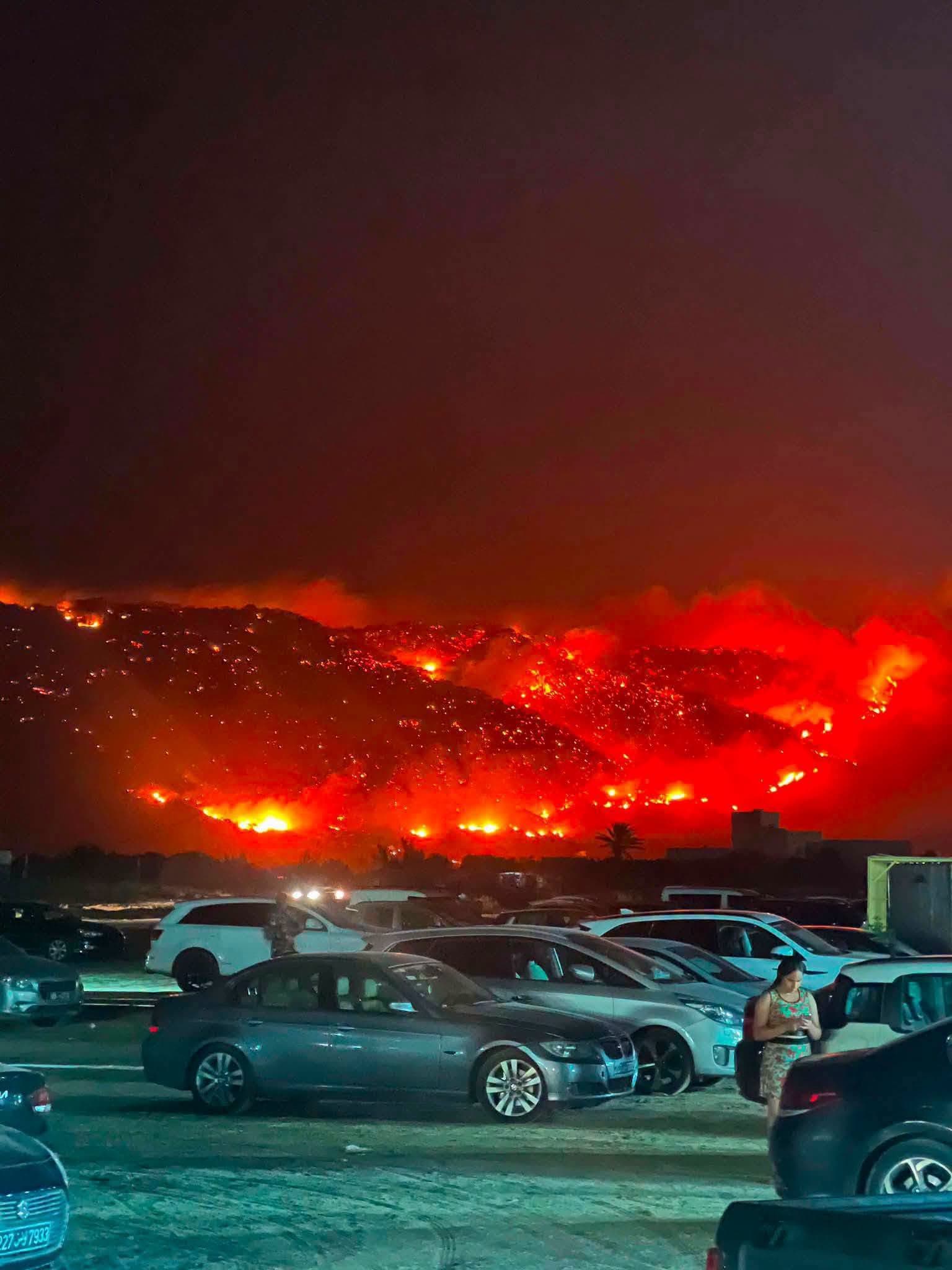 Tunisian Summer Fire Crisis