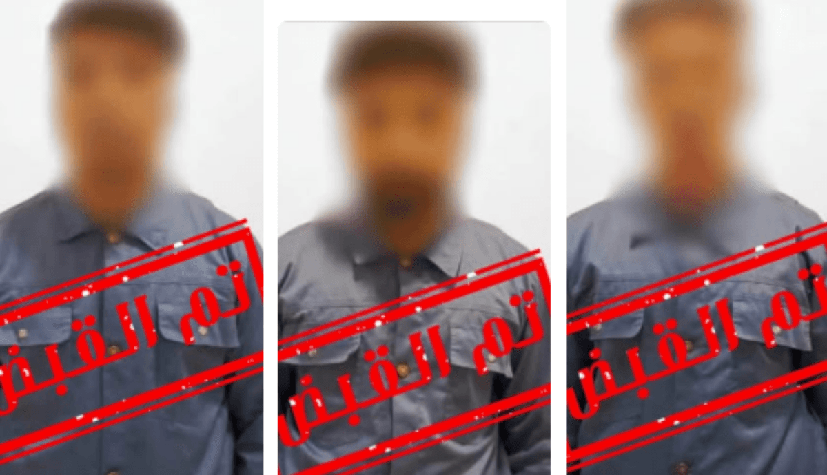 Scam network halted with two arrests