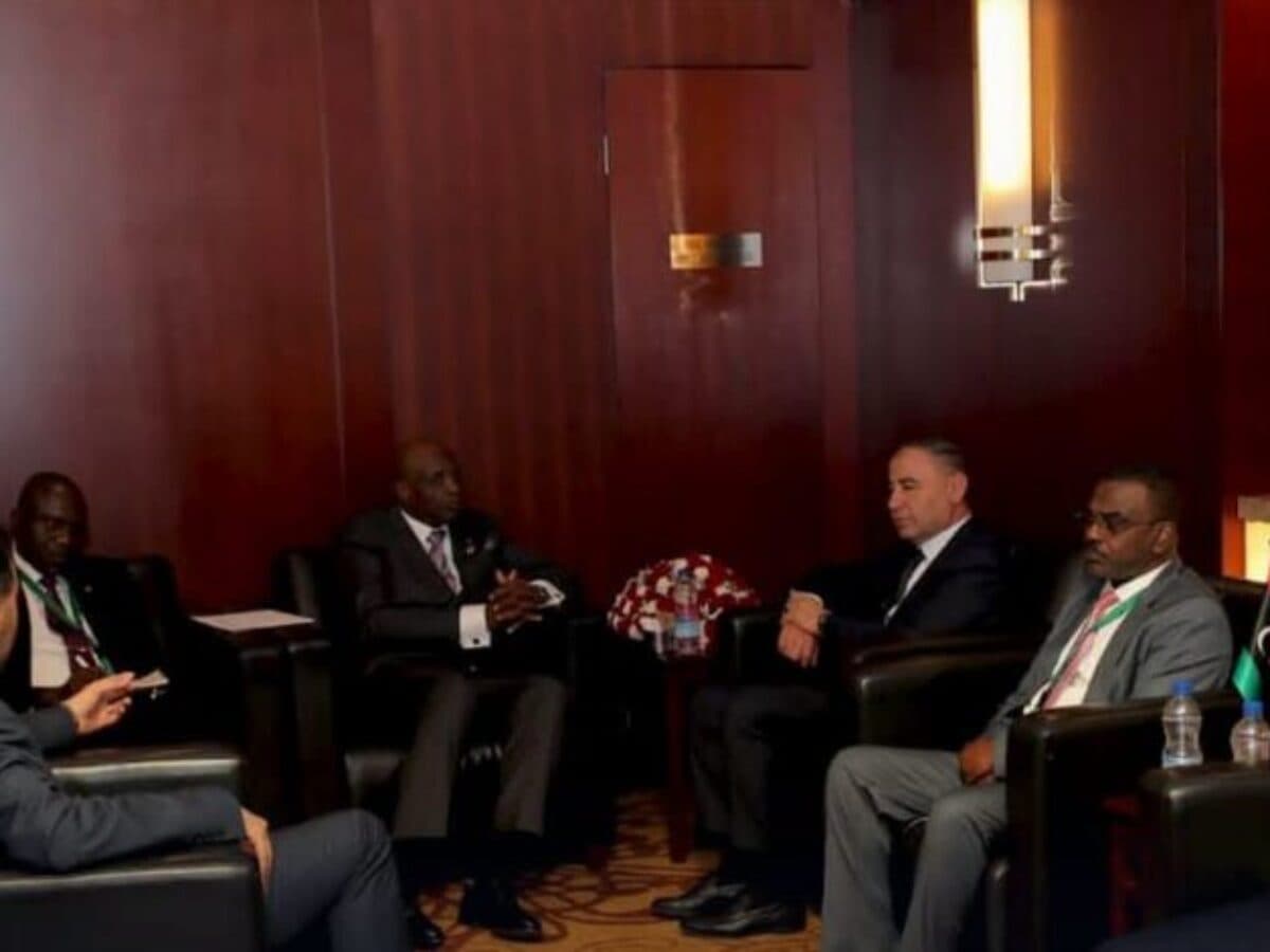 Libya Advances African Ties