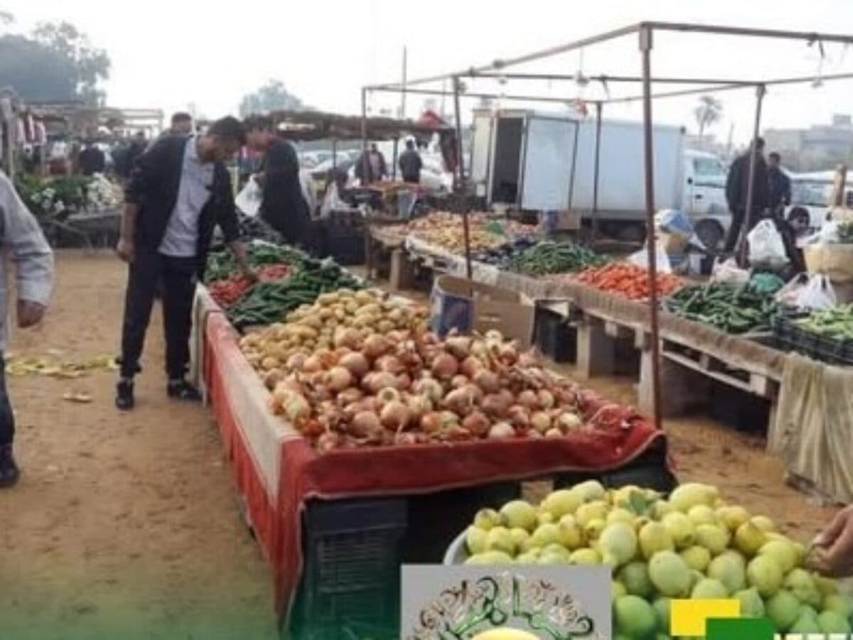 65% of crops test positive for pesticides