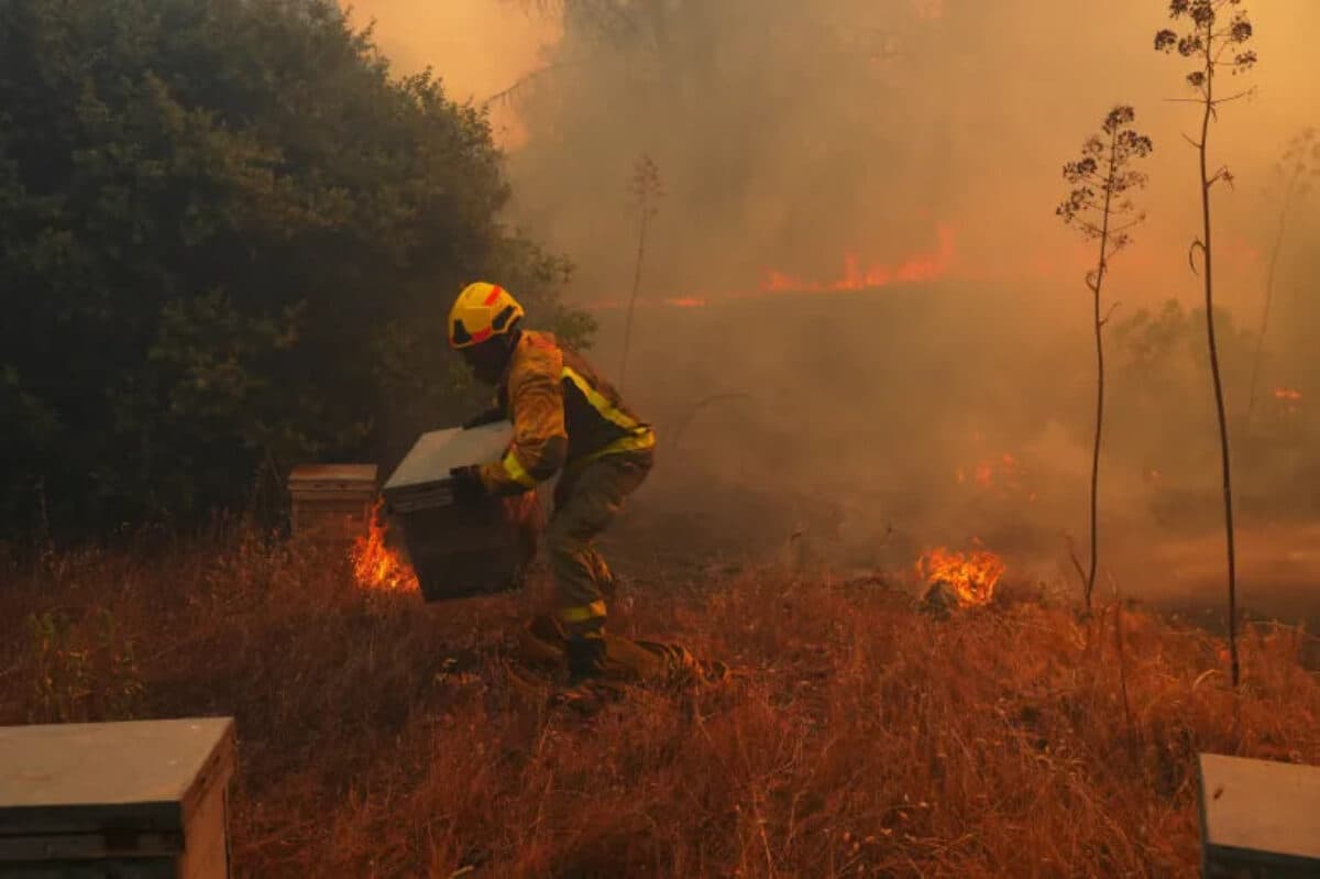 Europe faces deadly heatwave and fires