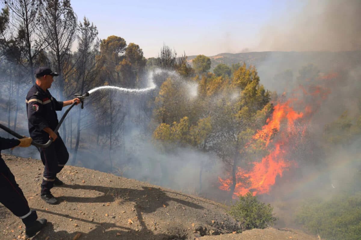 حريق في الجزائر يوقع 12 قتيلاً وينطوي على إخلاء