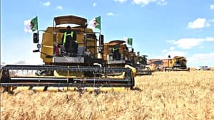 National Council for Agricultural Innovation