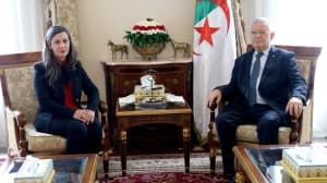 الجزائر تواصل جهود تعزيز الديمقراطية