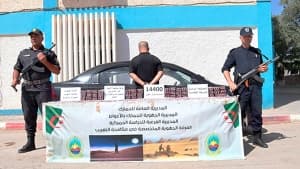 Seizure of 100,000 hallucinogenic pills in Ouargla, El Oued, and Bechar